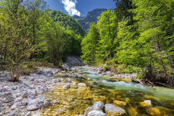 Koude bergstroom afkomstig van Savica waterval, rivier Sava in de buurt van het Bohinj meer, Sloveense Alpen, Slovenië. Sava Bohinjka is een plaats in Slovenië en maakt deel uit van de Sloveense gemeente Sava in de NUTS-3-regio Podravska.. - Foto, afbeelding