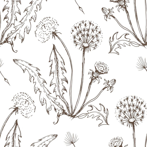 Pampeliška květiny volně žijících květin grafický vektor ručně kreslené ilustrace. Tisk textilní retro listy semena moucha omalovánky pro děti roztomilý karikatura příroda rostlin patern bezešvé - Vektor, obrázek