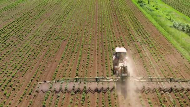 Spuiten van pesticiden op plantaardig veld met sproeiapparaat - Video