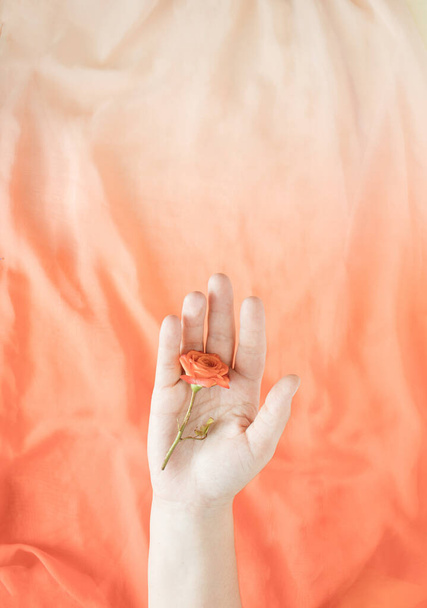 Une main tient une fleur sur un fond d'été orange soie. Pose plate minimale - Photo, image