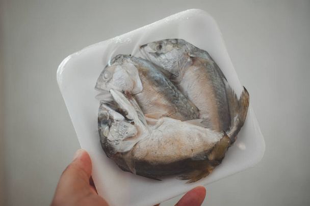 Gőzölt makrélát csomagoltak műanyag egy fehér hab pad eladó Thaiföldön. A legjobb étel a rossz gazdasági helyzetben, mert olcsó.. - Fotó, kép