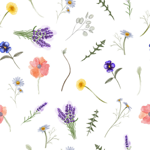 Akvarell zökkenőmentes minta vadvirágokkal, gyógynövényekkel és vadvirágokkal - Vektor, kép