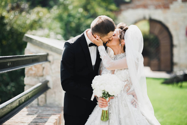 Romantic, fairytale, happy newlywed couple hugging and kissing in a park, trees in background - Foto, Imagem