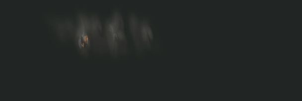 Абстрактные темные кривые металлическая золотая жидкость роскошь мягкая краска жидкость динамическая аура дыма волн цифрового горизонтального баннера - Фото, изображение