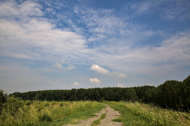 Piste cyclable sur un enbankment au milieu des champs dans la campagne italienne en été - Photo, image