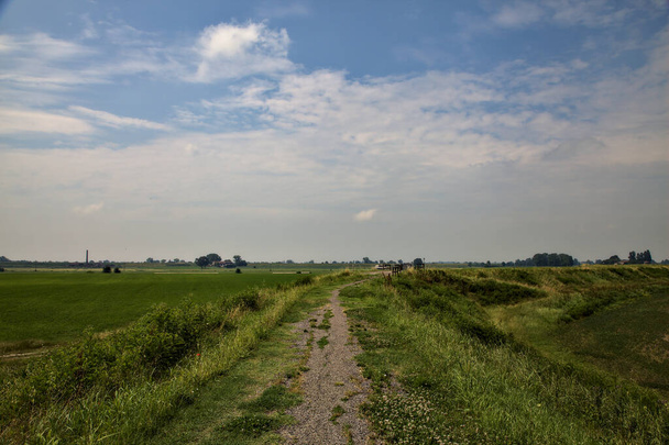 carril bici en un enbankment en medio de los campos en el campo italiano en verano - Foto, imagen