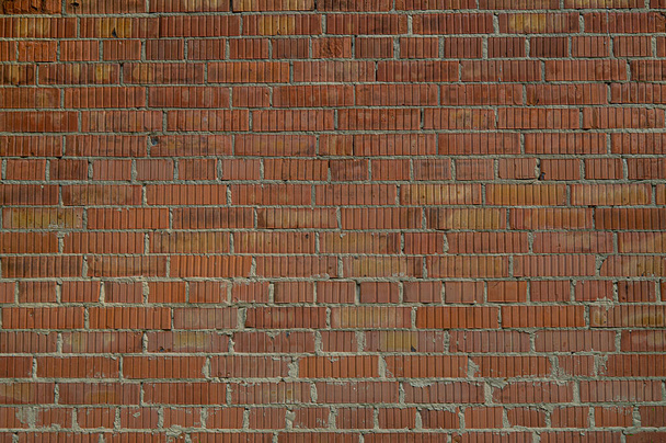 Rough old red brick wall, photographed in low morning sunlight horizontally. - Zdjęcie, obraz