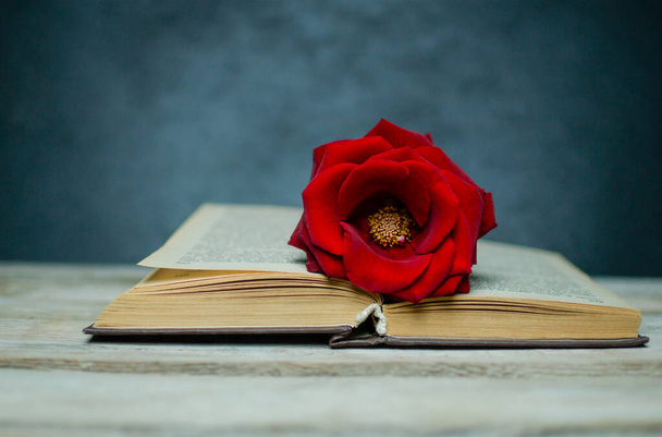 Red rose on a book with black background and wooden table - Valokuva, kuva