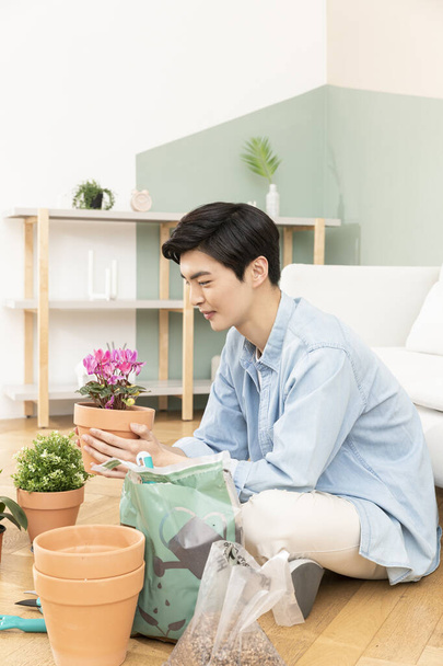 Asian young man home planting flowers - Zdjęcie, obraz
