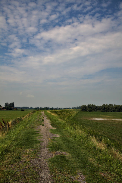 Bike path on an enbankment in the middle of the fields in the italian countryside in summer - Photo, Image