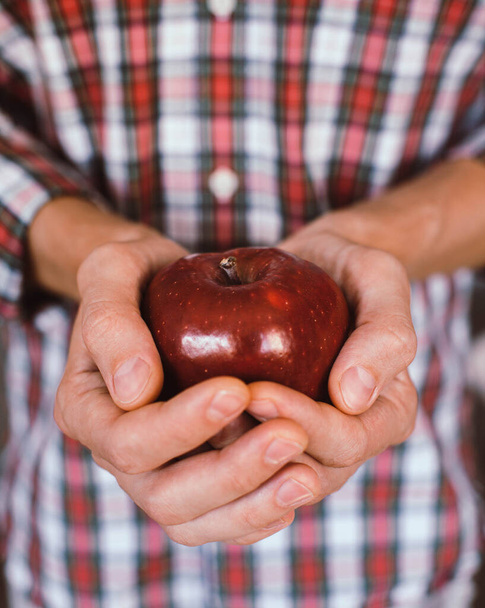 Male hands holding a red apple - Foto, immagini