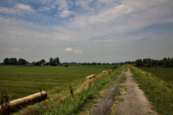 夏にイタリアの田舎の畑の真ん中の堤防の上の自転車道 - 写真・画像