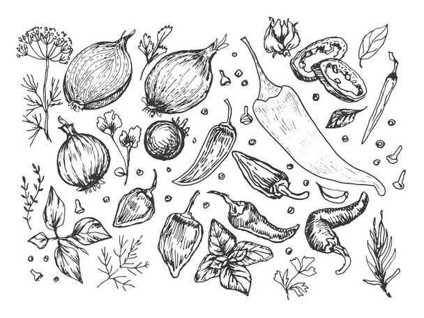 Épices ail légumes herbes cuisson vectoriel graphiques illustration à la main. Gravure impression textile, menu recette cuisine oignon basilic cuisine ensemble  - Vecteur, image