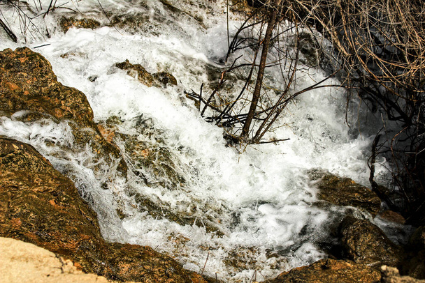 Река Кабриэль с кристально чистой водой в окружении зеленой растительности в горах Альбасете, Испания - Фото, изображение