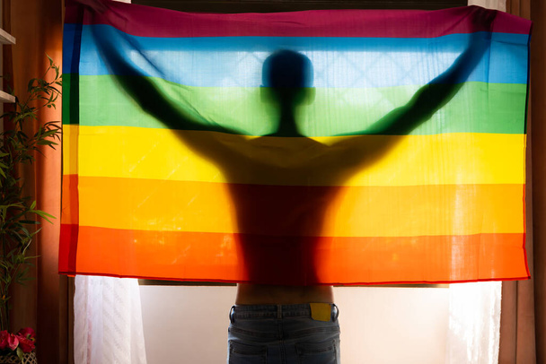 Shadow of man through lgbt flag holding it with arms raised and looking out the window outside - Photo, Image