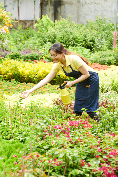 Νεαροί κηπουροί ψεκάζουν φυτά και λουλούδια με νερό - Φωτογραφία, εικόνα