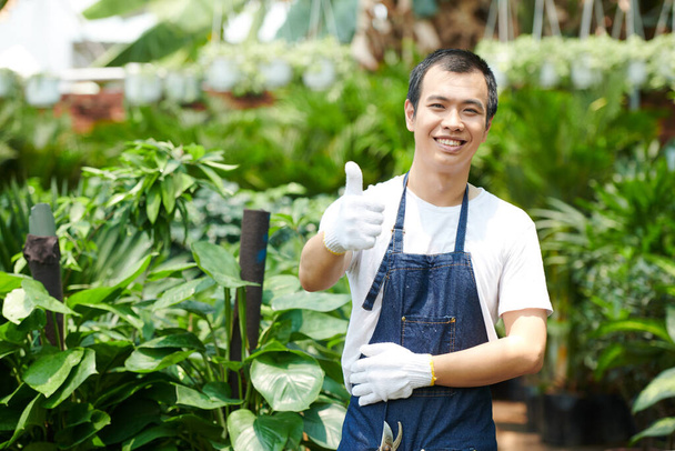 Feliz joven trabajador de invernadero excitado en guantes protectores que muestran los pulgares hacia arriba y sonriendo a la cámara - Foto, Imagen
