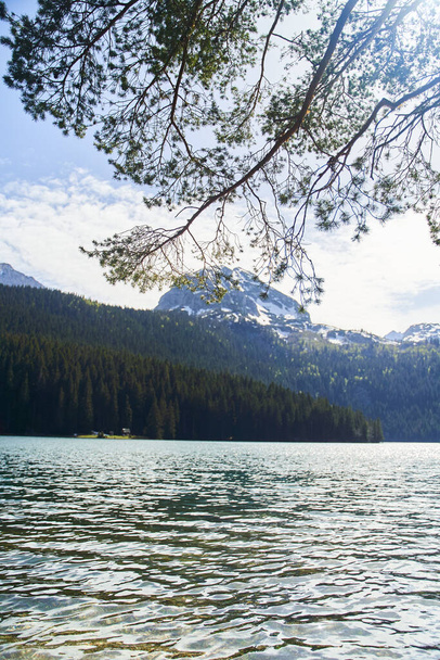 Черное озеро, природный ландшафт. Горное озеро, Жабляк, Черногория, национальный парк Дурмитор. Высокое качество фото - Фото, изображение