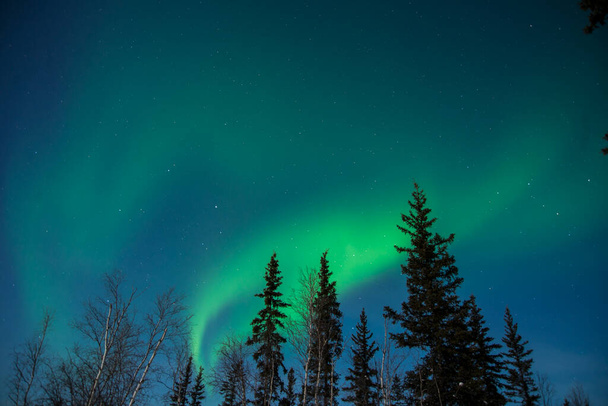 Aurora Borealis in Yellowknife, Northwest Territories, Canada - Zdjęcie, obraz