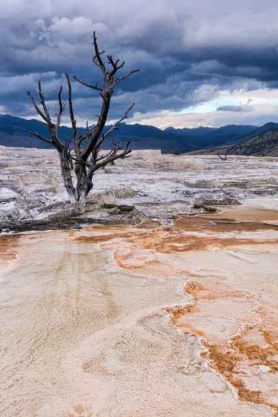 The Mammoth Hot Springs area of Yellowstone National Park in Wyoming on a moody overcast day. - Photo, Image