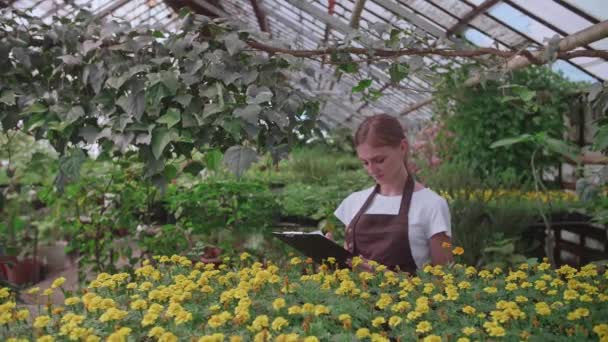 Dívka inspektor v zástěře kontroluje a počítá květiny ve skleníku, vede jejich záznamy - Záběry, video