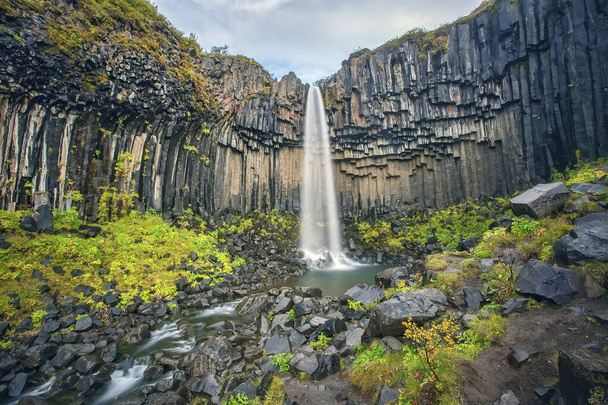 Водоспад Свартіфосс, оточений базальтовими колонами. Розташований в Ісландському природному заповіднику Скафтфелл. - Фото, зображення