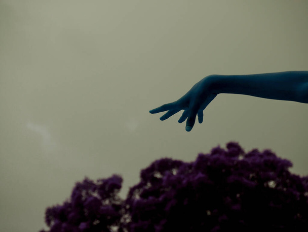 nature hand concept presented on sky isolate background. - Фото, изображение