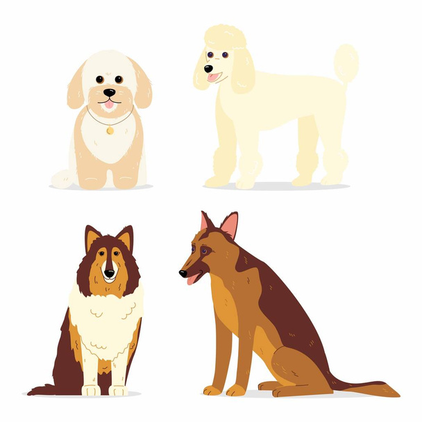 Köpek koleksiyonu. Mini kaniş, collie, Alman çoban köpeği ve maltipoo gibi çeşitli köpek türlerinin vektör çizimi. Beyazda izole edilmiş. - Vektör, Görsel