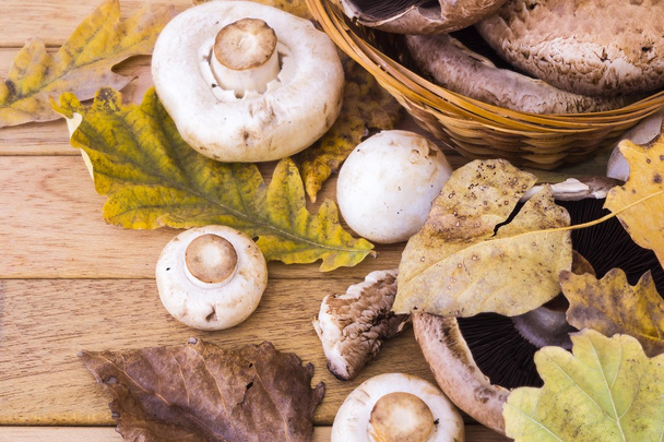 Mushrooms and autumn leaves - Photo, Image