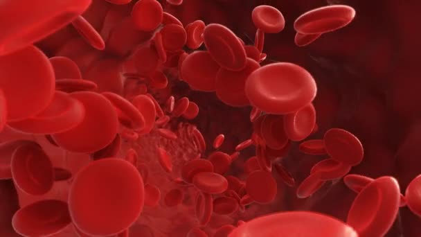 Rode bloedcellen stromen in een slagader. 3d video - Video