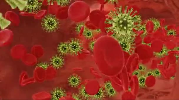 Glóbulos rojos que fluyen con virus en una arteria. 3d video - Metraje, vídeo