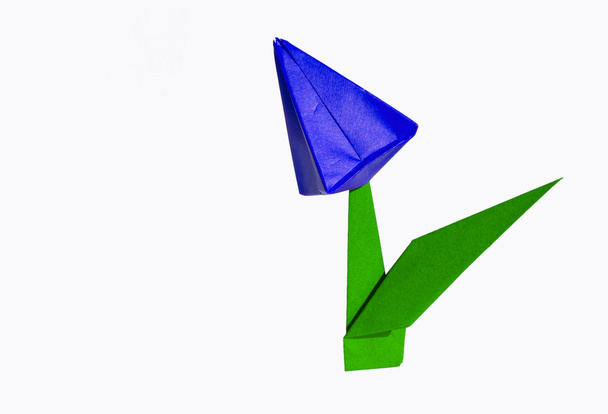 kwiat origami niebieski, Tulipan, na białym tle - Zdjęcie, obraz