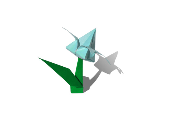 kwiat origami cyjan, Tulipan, na białym tle - Zdjęcie, obraz