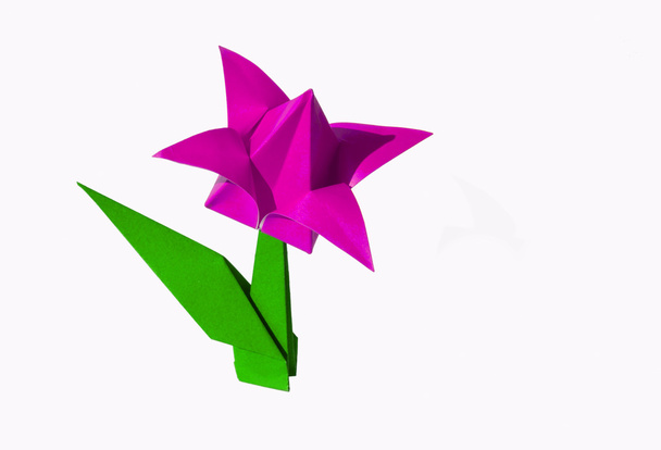 Origami pink flower, tulip, isolated on white - Photo, Image
