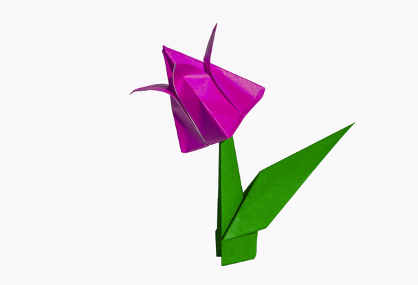 kwiat origami różowy, Tulipan, na białym tle - Zdjęcie, obraz