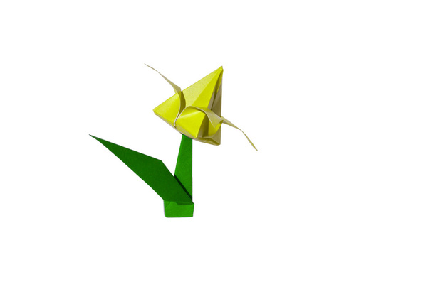 origami giallo fiore, tulipano, isolato su bianco - Zdjęcie, obraz