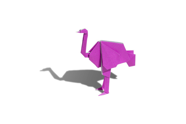 Pink Origami ostrich isolated on white - Photo, Image