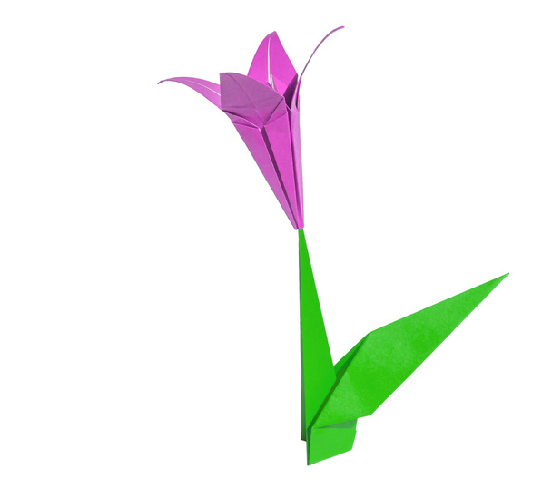 kwiat origami różowy, Tulipan, na białym tle - Zdjęcie, obraz