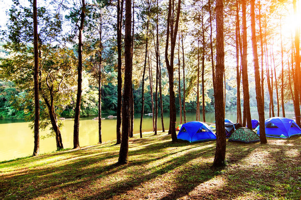 Tourist tent in forest camp among meadow - Photo, Image