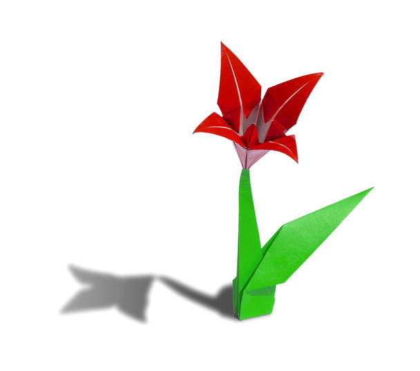 Червона квітка орігамі лілія ізольована на білому
 - Фото, зображення
