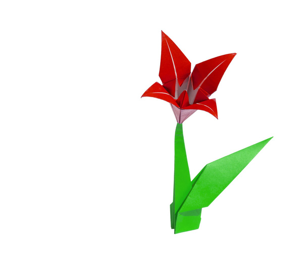piros origami virág lily elszigetelt fehér - Fotó, kép