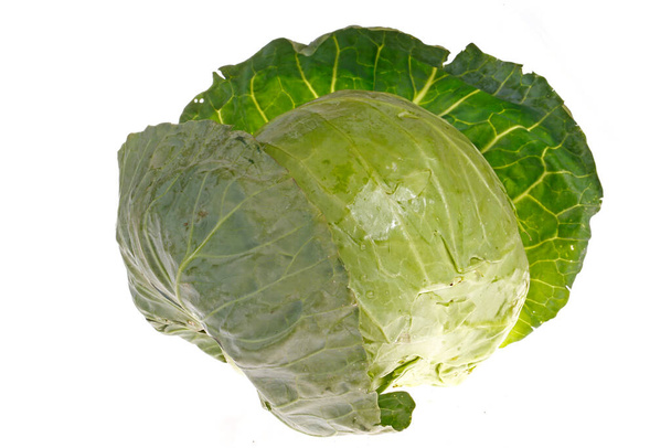 Cabbage patch on the white background - Photo, Image