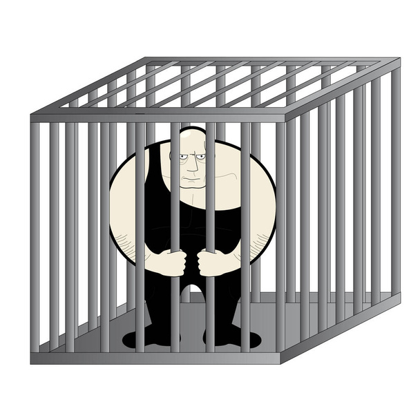 man in jail vector illustration - Vector, Image