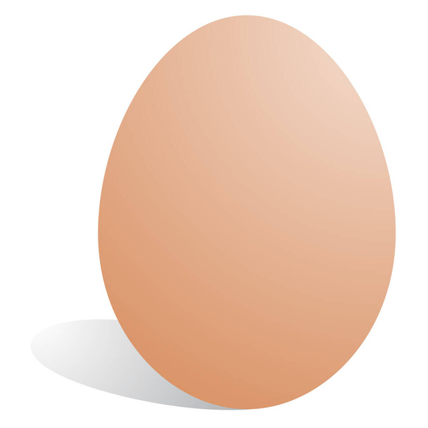 Vector egg vector illustration - Vector, Image