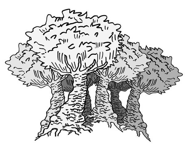 vector illustration of tree icon - ベクター画像