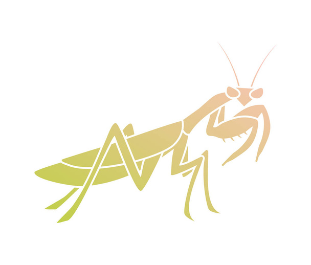 Δημιουργική απεικόνιση διανύσματος mantis - Διάνυσμα, εικόνα