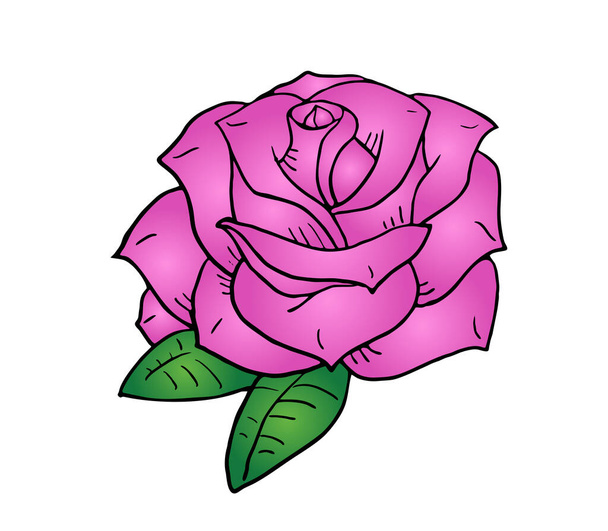 nice rose  vector illustration - Vector, Image