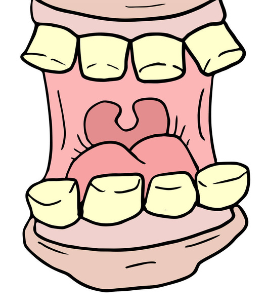 Векторная иллюстрация зубов рта - Вектор,изображение