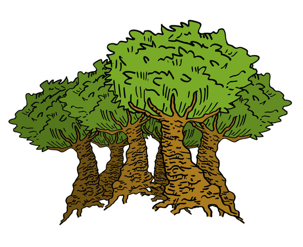 Illustratie van vele grote bomen - Vector, afbeelding