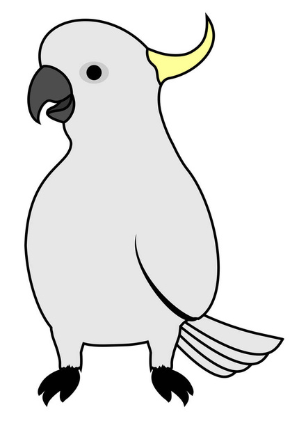 ilustracja wektorowa papugi - Wektor, obraz